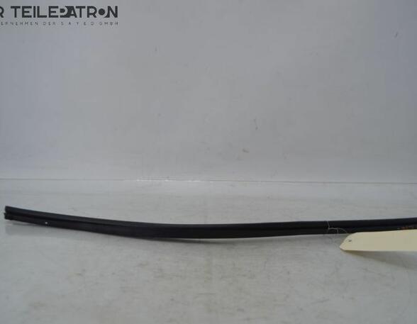 Door Seal HYUNDAI i10 (BA, IA)