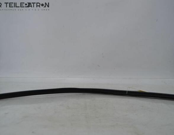 Door Seal HYUNDAI i10 (BA, IA)