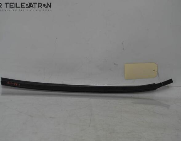 Door Seal HYUNDAI i10 (BA, IA)