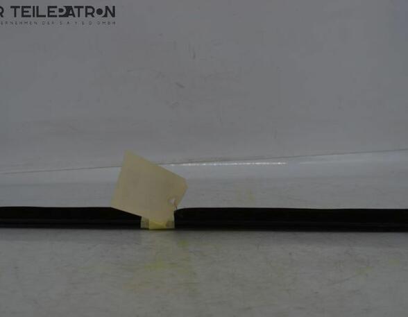 Door Seal LAND ROVER Discovery IV (LA)