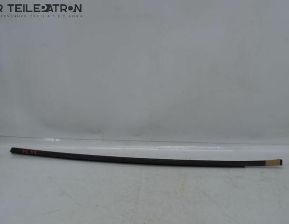 Door Seal RENAULT Twingo III (BCM)