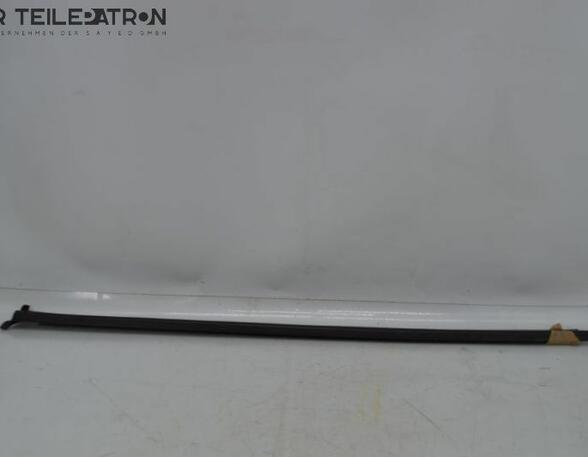 Door Seal RENAULT Twingo III (BCM)