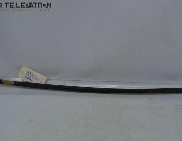 Door Seal RENAULT Twingo III (BCM)