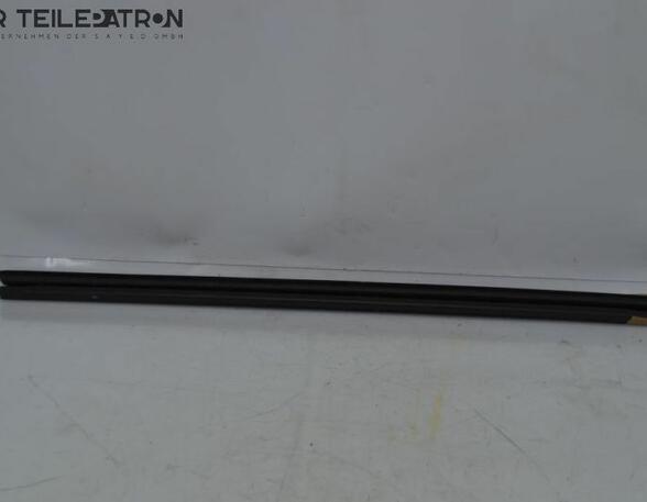 Door Seal RENAULT Twingo III (BCM)