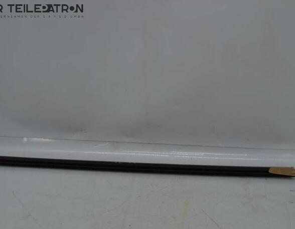 Door Seal RENAULT Twingo III (BCM)