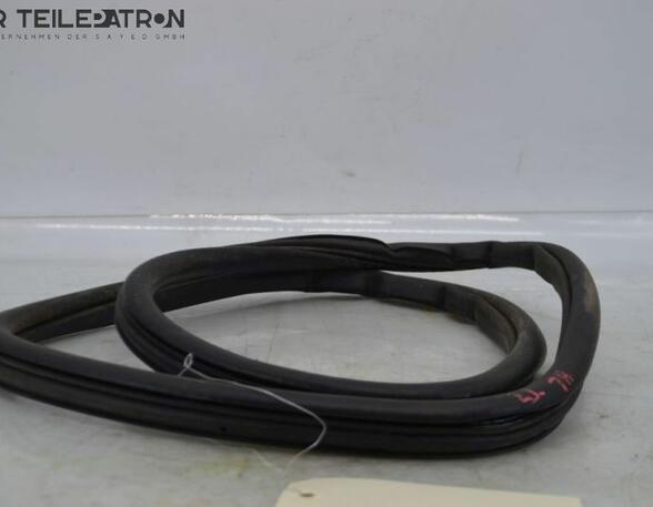 Door Seal RENAULT Twingo III (BCM)