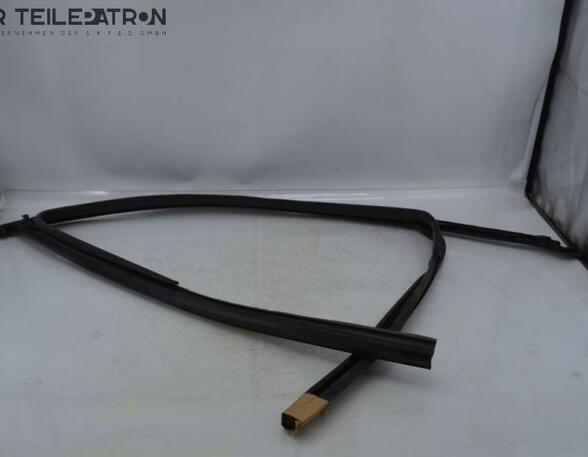 Door Seal RENAULT Twingo III (BCM)