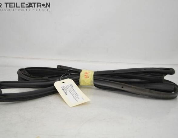 Door Seal NISSAN Juke (F15)