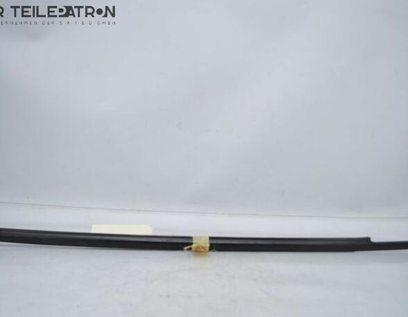 Door Seal NISSAN Juke (F15)