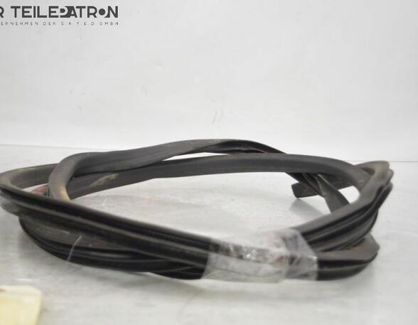 Door Seal HYUNDAI i10 (PA)