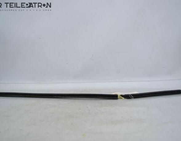 Door Seal HYUNDAI i10 (PA)