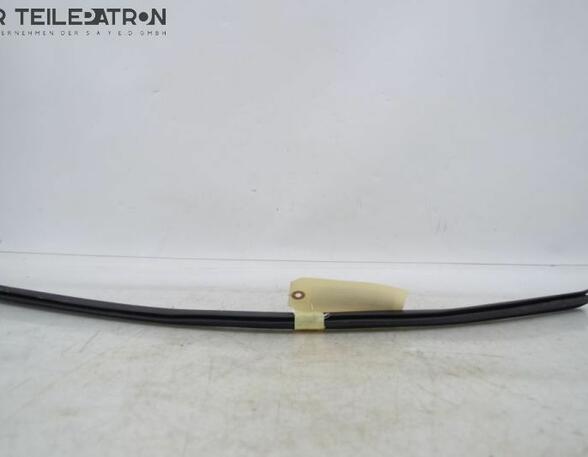 Door Seal HYUNDAI i10 (PA)