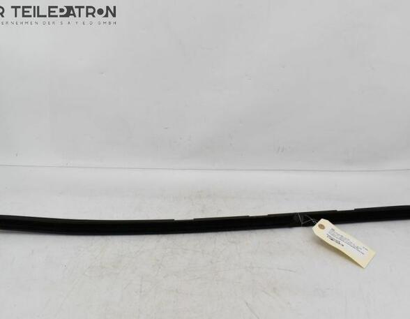 Door Seal VW Golf Plus (521, 5M1)