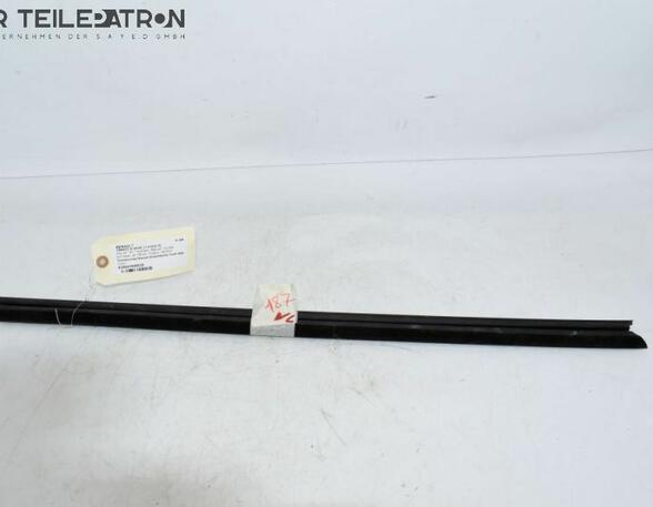 Door Seal RENAULT Twingo III (BCM)