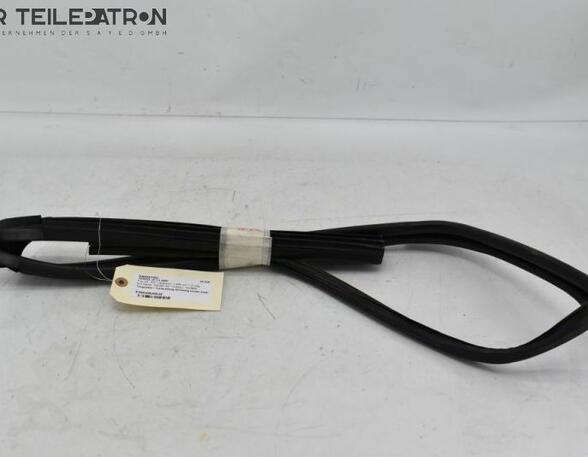 Door Seal DAIHATSU Terios (J2), DAIHATSU Terios (J2_)