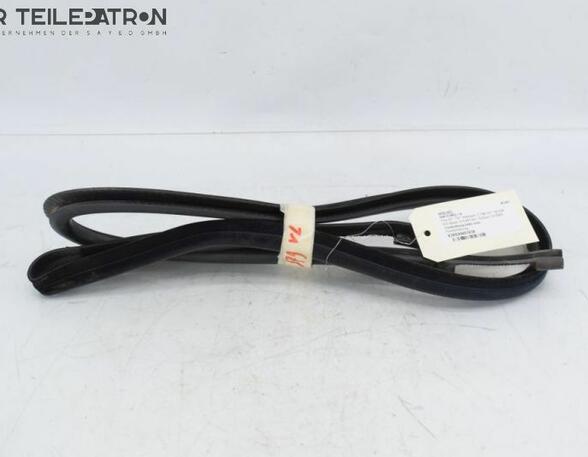 Door Seal VOLVO S40 II (544)