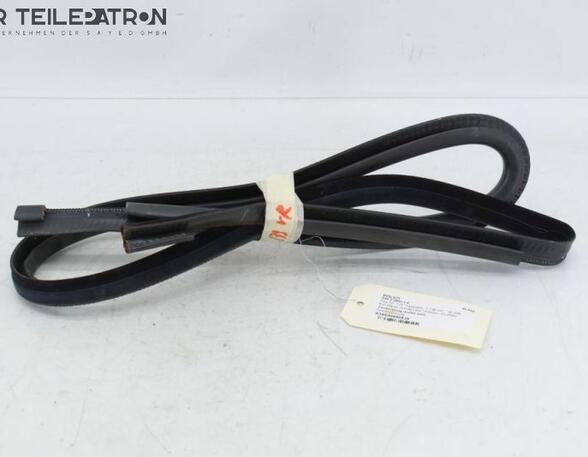 Door Seal VOLVO S40 II (544)