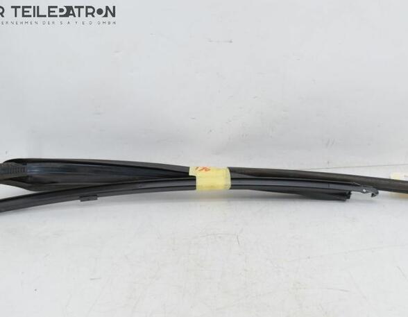 Door Seal MAZDA 5 (CR19)