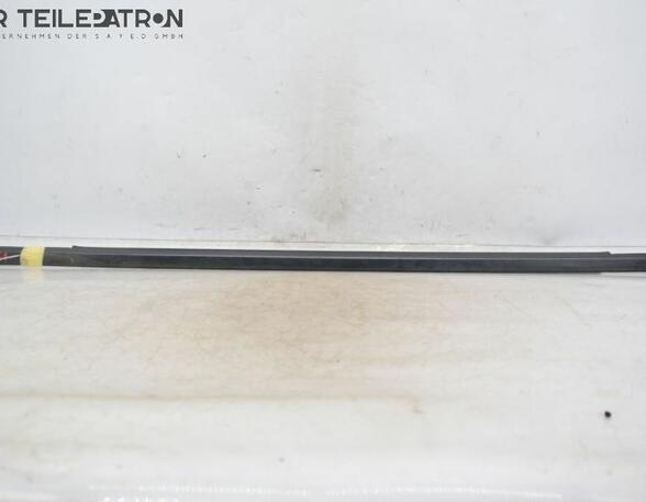 Door Seal MAZDA Premacy (CP)