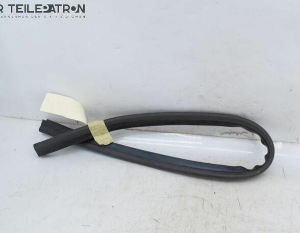 Door Seal RENAULT Twingo III (BCM)