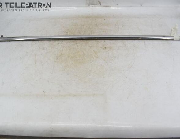 Door Seal HONDA ACCORD VII (CL, CN)