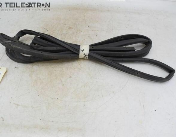 Door Seal HONDA Accord VII (CL, CN)