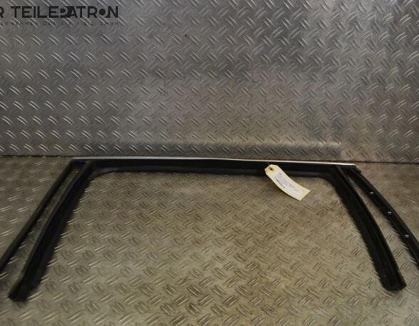 Door Seal VW Passat Variant (3C5)