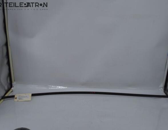 Door Seal TOYOTA IQ (_J1_)