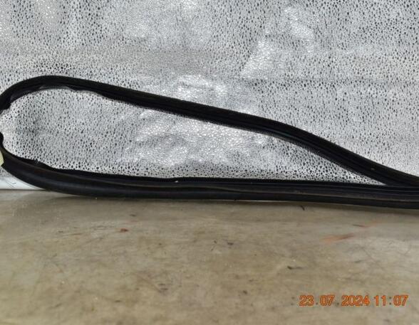 Door Seal RENAULT TWINGO III (BCM_, BCA_)