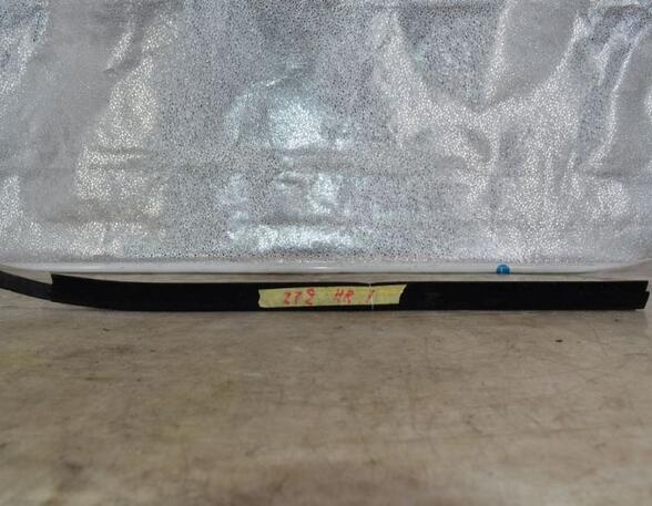 Door Seal HYUNDAI i10 II (BA, IA)