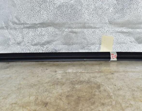 Door Seal NISSAN QASHQAI / QASHQAI +2 I (J10, NJ10, JJ10E)