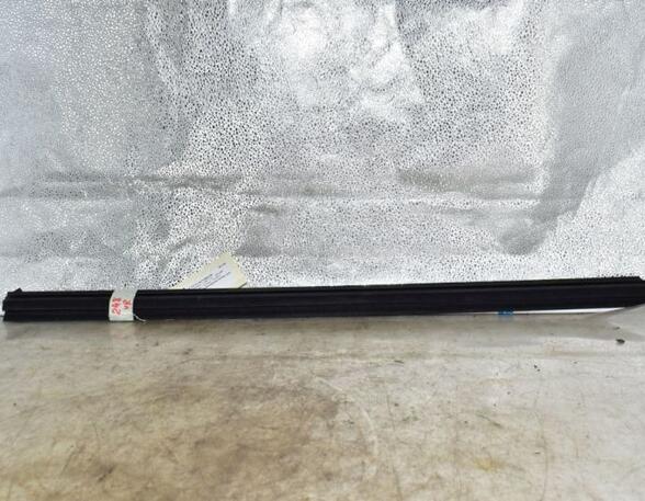 Door Seal NISSAN QASHQAI / QASHQAI +2 I (J10, NJ10, JJ10E)