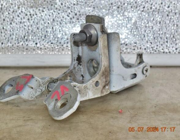 Door Hinge RENAULT TWINGO III (BCM_, BCA_)