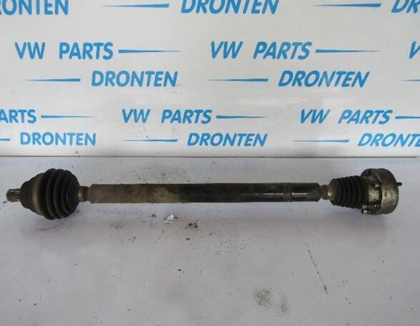 Drive Shaft VW GOLF PLUS (5M1, 521)