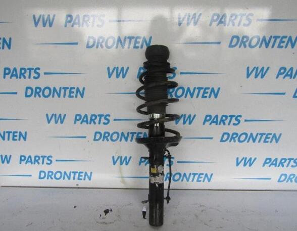 Suspension Strut VW GOLF IV (1J1)