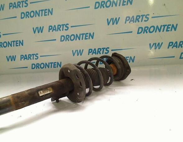 Suspension Strut SEAT LEON (1P1)