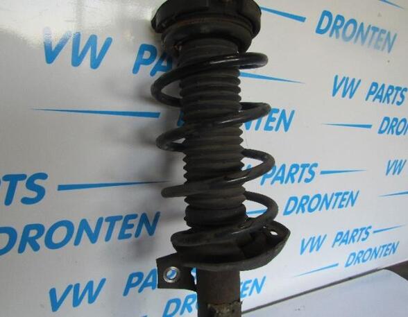 Suspension Strut VW JETTA III (1K2)