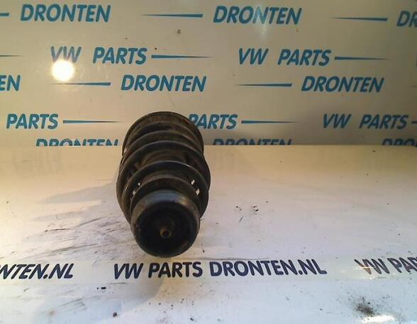 Suspension Strut VW NEW BEETLE Convertible (1Y7)