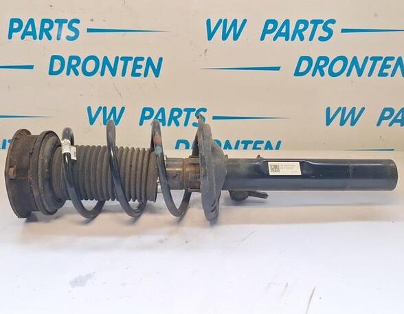 Suspension Strut VW GOLF VII (5G1, BQ1, BE1, BE2)