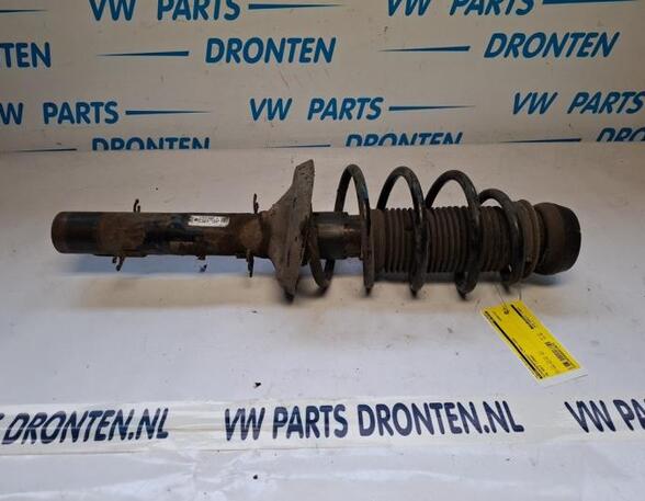 Suspension Strut VW GOLF IV (1J1)