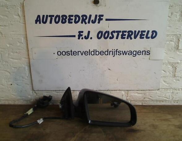 Wing (Door) Mirror AUDI A6 (4F2, C6)