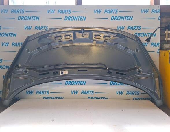 Bonnet PEUGEOT 207 (WA_, WC_)