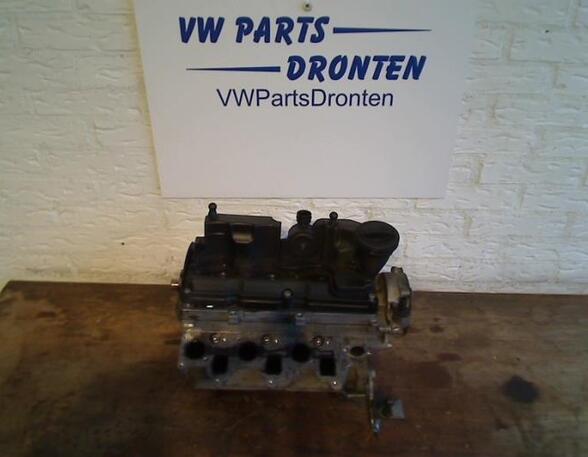 Cylinder Head SKODA FABIA II Combi (545), SKODA ROOMSTER Praktik (5J)