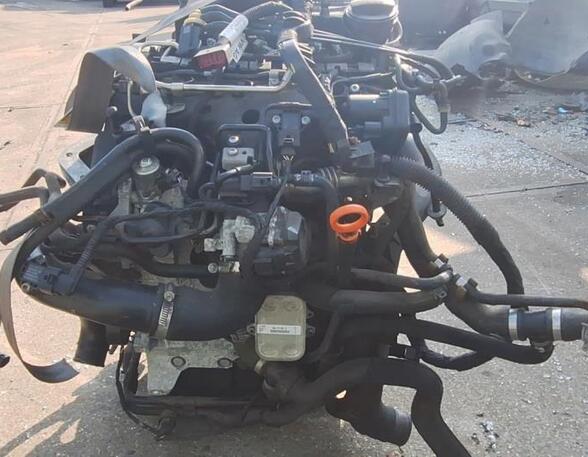 Bare Engine SKODA FABIA II Combi (545), SKODA ROOMSTER Praktik (5J)