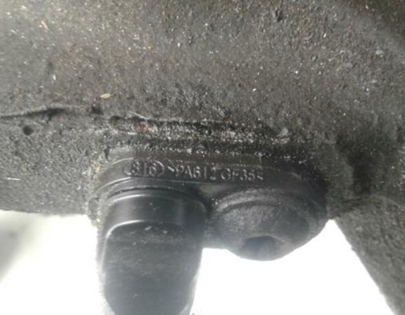 Stub Axle RENAULT GRAND SCÉNIC III (JZ0/1_), RENAULT SCÉNIC III (JZ0/1_)