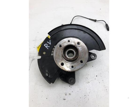 Stub Axle RENAULT CLIO V (B7_)