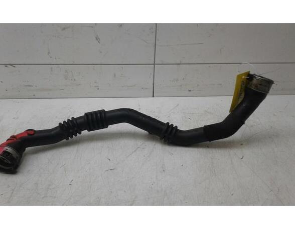 Wiring Harness RENAULT CAPTUR I (J5_, H5_), RENAULT CLIO IV (BH_), RENAULT CLIO III (BR0/1, CR0/1)