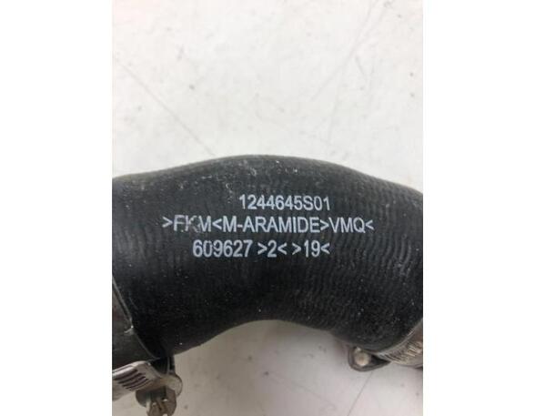 Leitung Nissan Micra V K14 144605FP0A P18870100