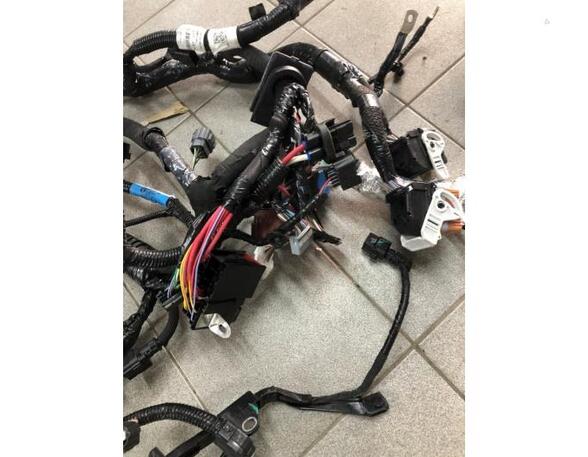 Wiring Harness RENAULT CLIO V (B7_)