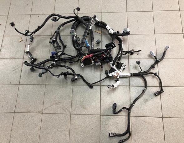 Wiring Harness RENAULT CLIO V (B7_)